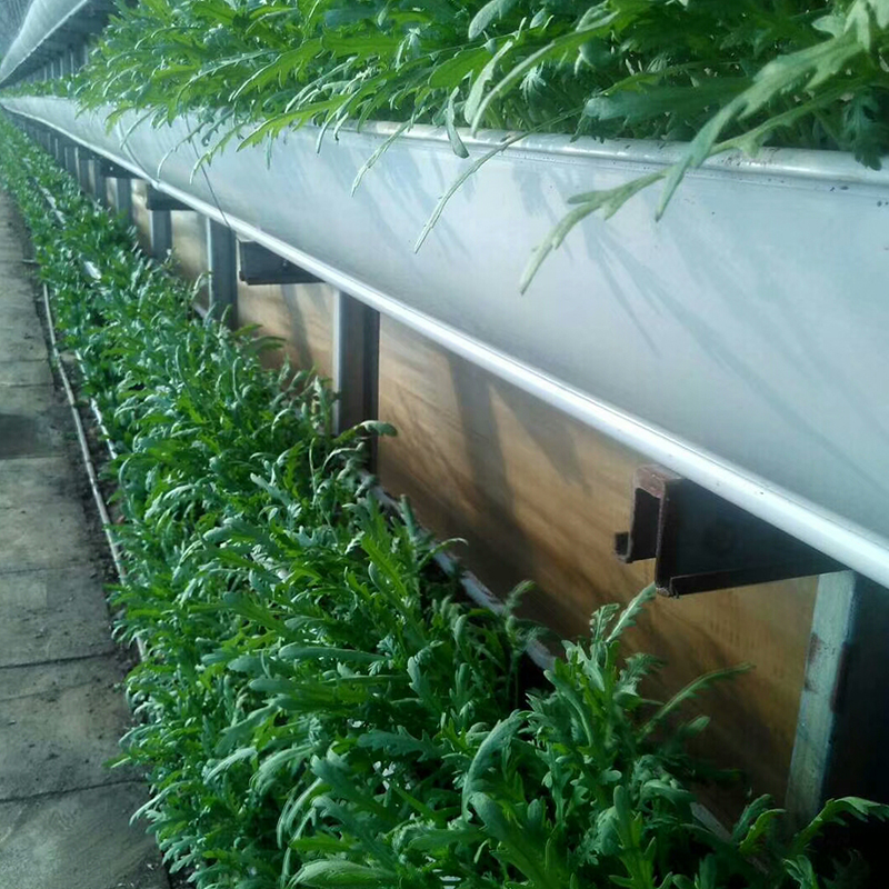 蔬菜国产精品刺激对白麻豆99种植槽